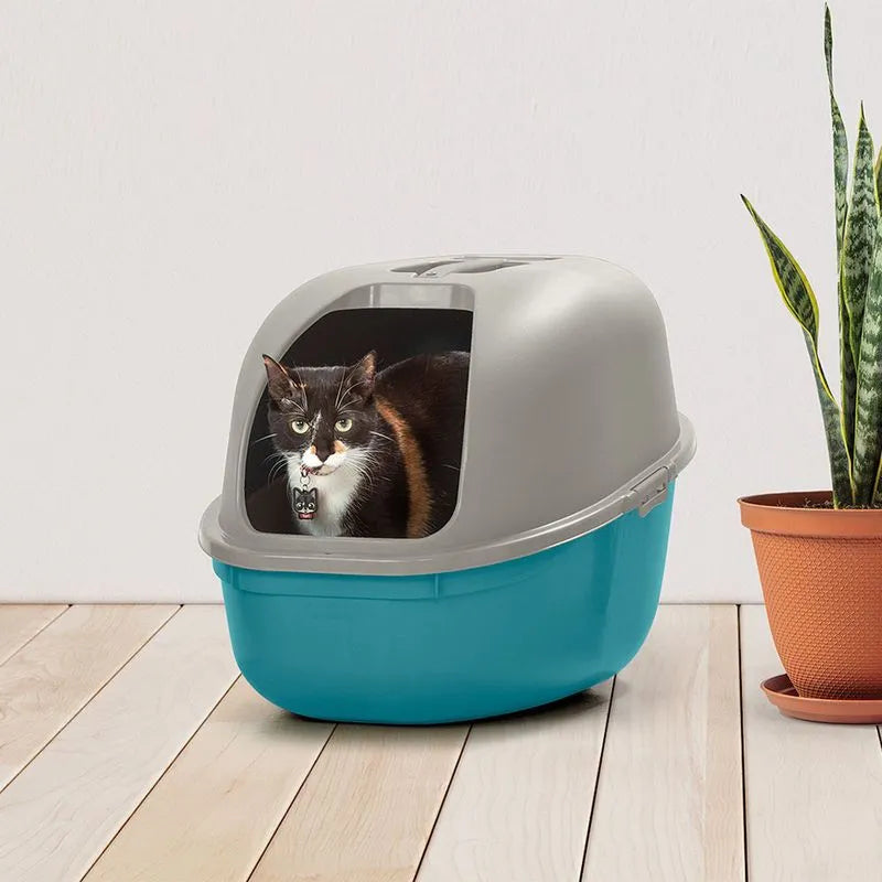 ARENERO PARA GATO AZUL GRIS